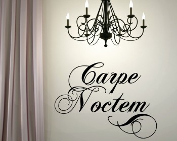 Carpe Noctem - A Latin phrase meaning "Seize the Night"  Carpe Noctem - A Latin phrase meaning "Seize the Night"